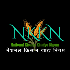 Read more about the article NKKN Brand Nut Granola (Blueberry, Cinnamon Sweet & Crunch) – A Perfect Blend of Taste, Nutrition, and Crunch