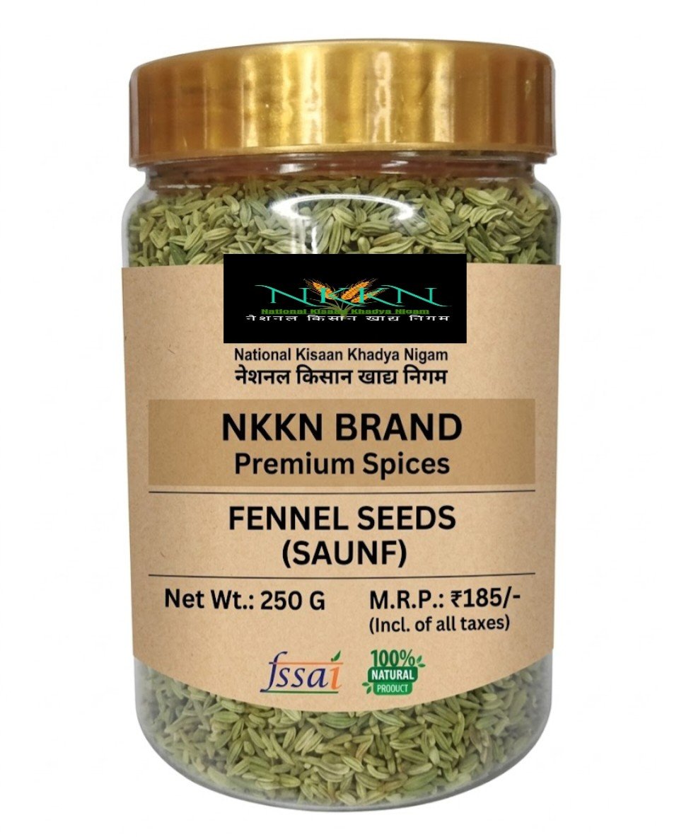 Read more about the article NKKN Brand Fennel Seeds: A Natural Treasure for Health, Taste, and Wellness
